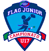 FlagU172016